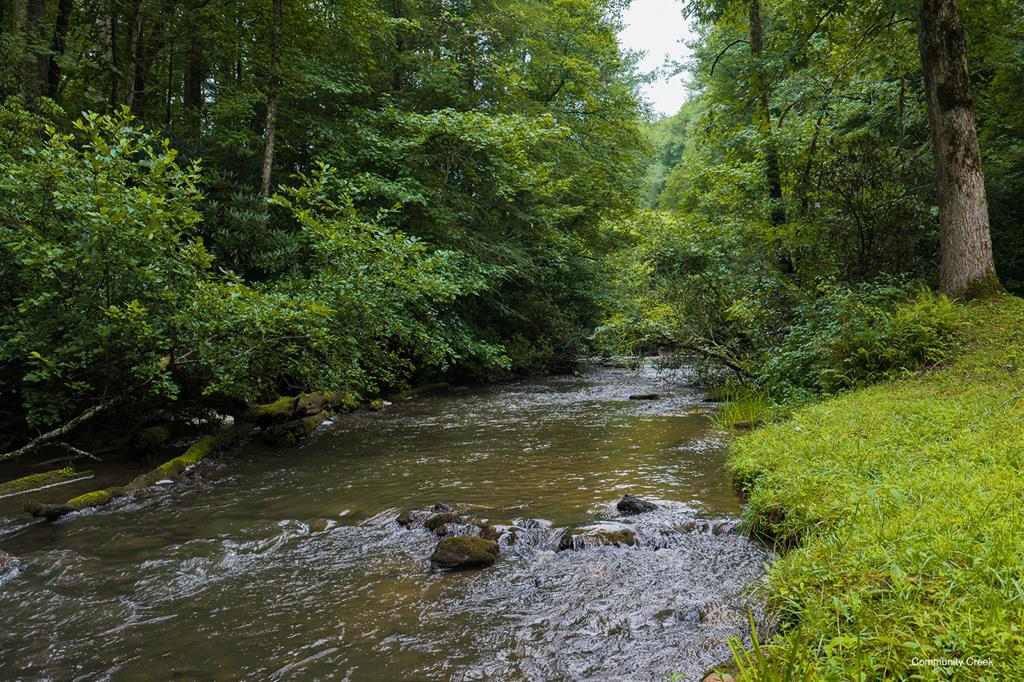 196 Creek Camp Road Property Photo 44