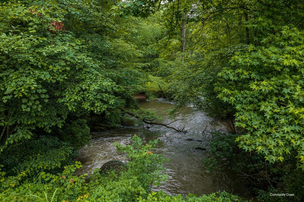 196 Creek Camp Road Property Photo 45