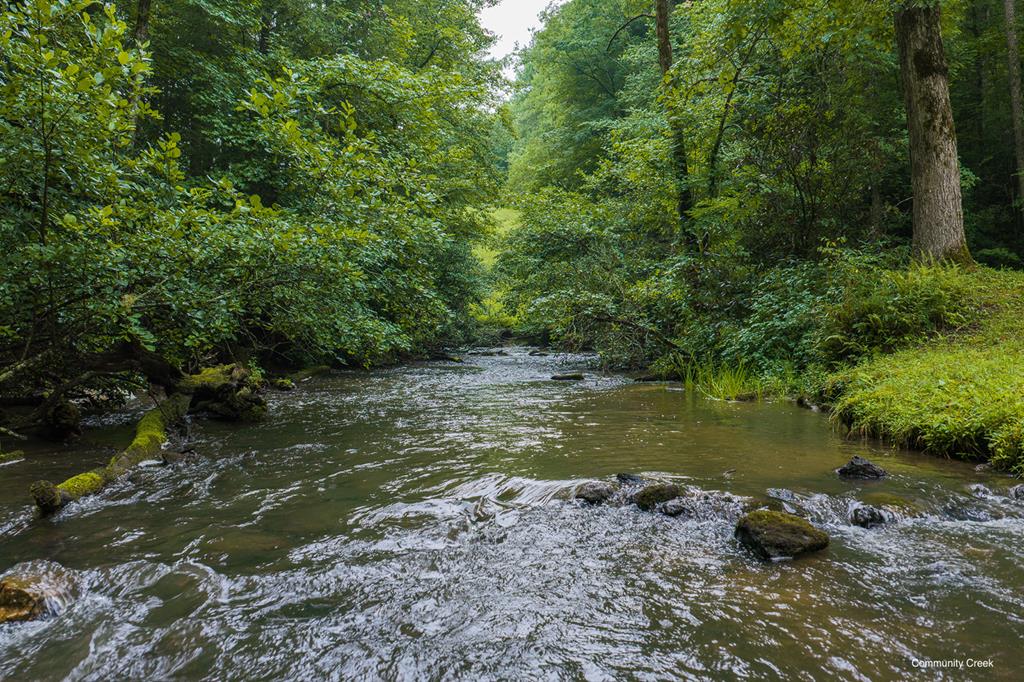 196 Creek Camp Road Property Photo 46