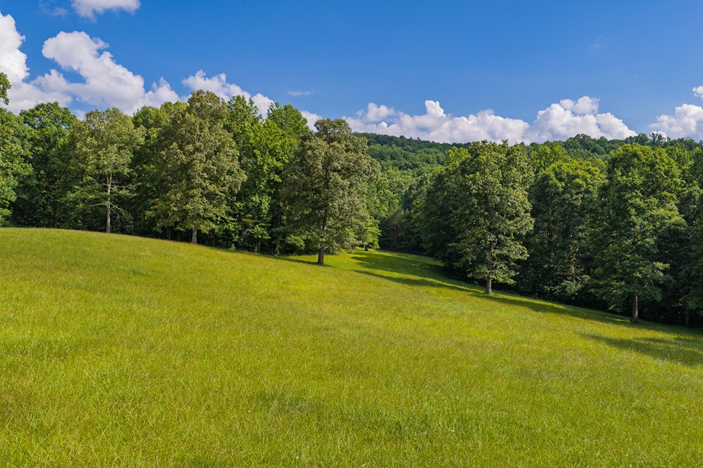 196 Creek Camp Road Property Photo 49