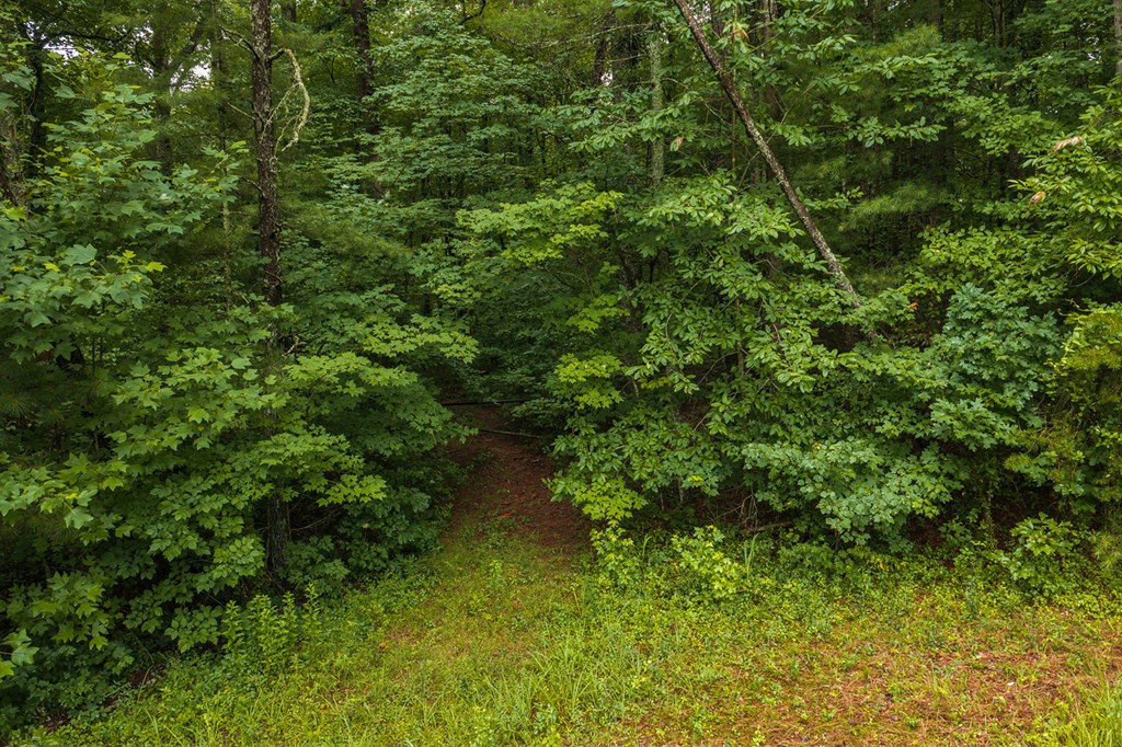 196 Creek Camp Road Property Photo 56