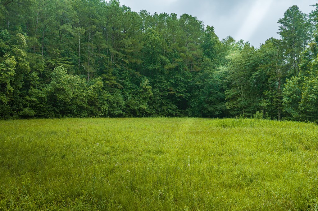 196 Creek Camp Road Property Photo 57