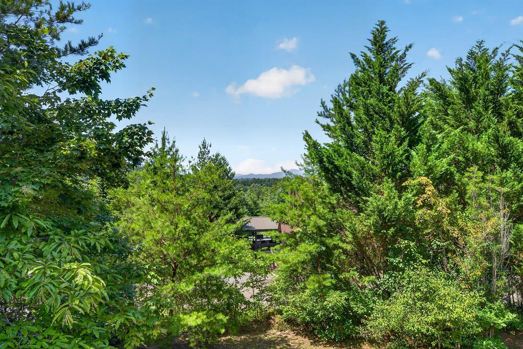 78 Mountain Peaks Lane Property Photo 4