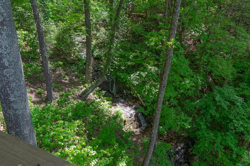 1049 Rockwater Road Property Photo 33