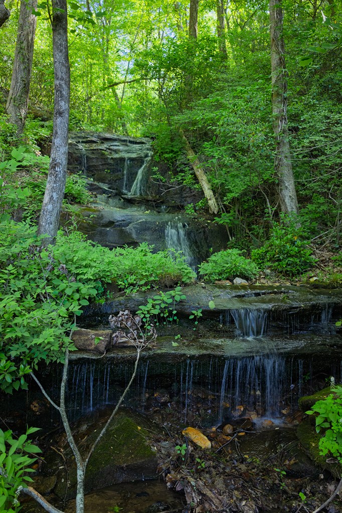 1049 Rockwater Road Property Photo 37