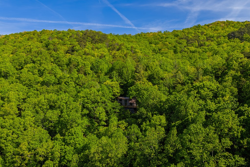 1049 Rockwater Road Property Photo 42