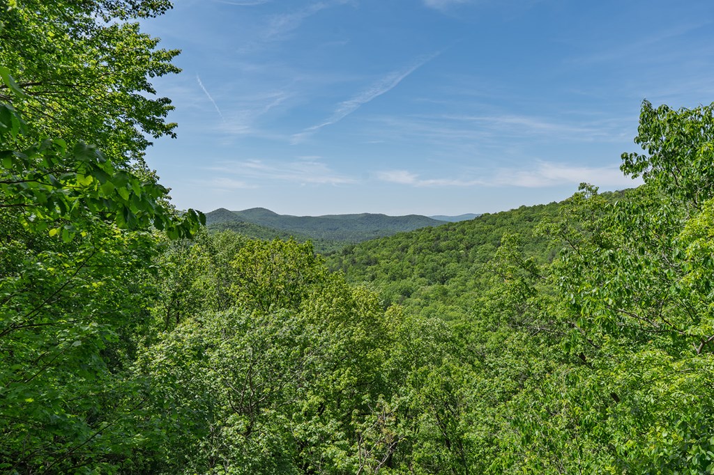 1049 Rockwater Road Property Photo 44