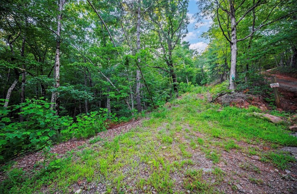 Lt 760 Morton Drive Property Photo 1