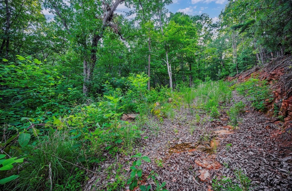 Lt 760 Morton Drive Property Photo 2