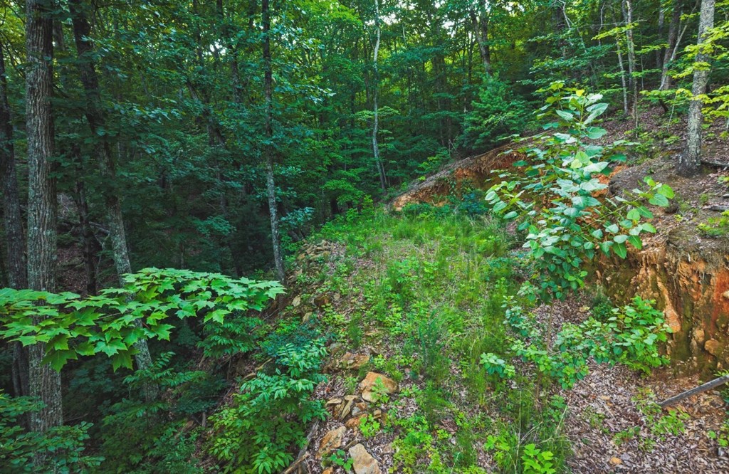 Lt 760 Morton Drive Property Photo 3