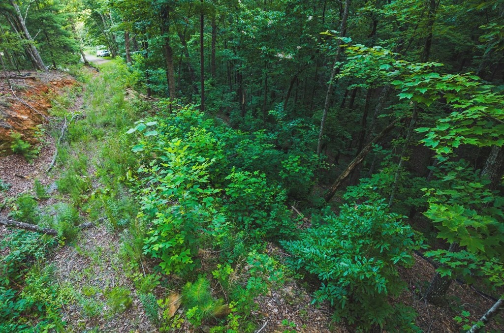 Lt 760 Morton Drive Property Photo 5