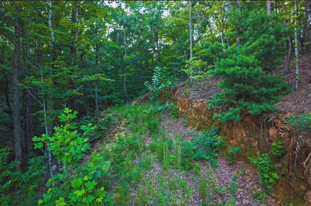 Lt 760 Morton Drive Property Photo 6