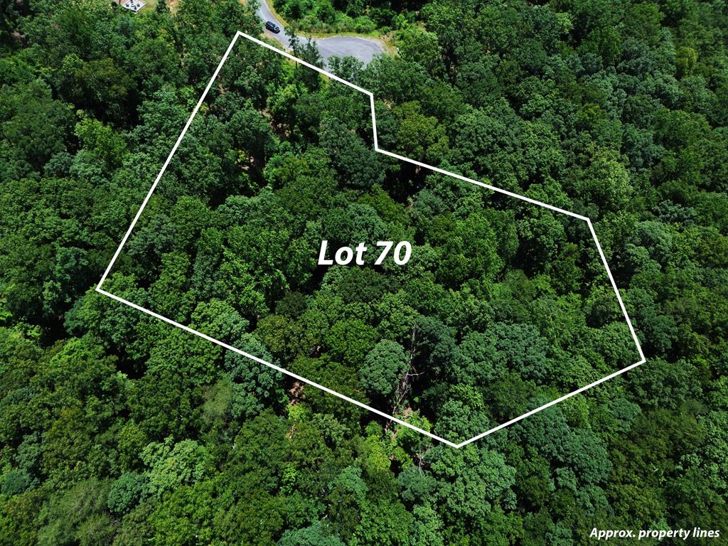 Lt 70 High Summit Drive Property Photo 4
