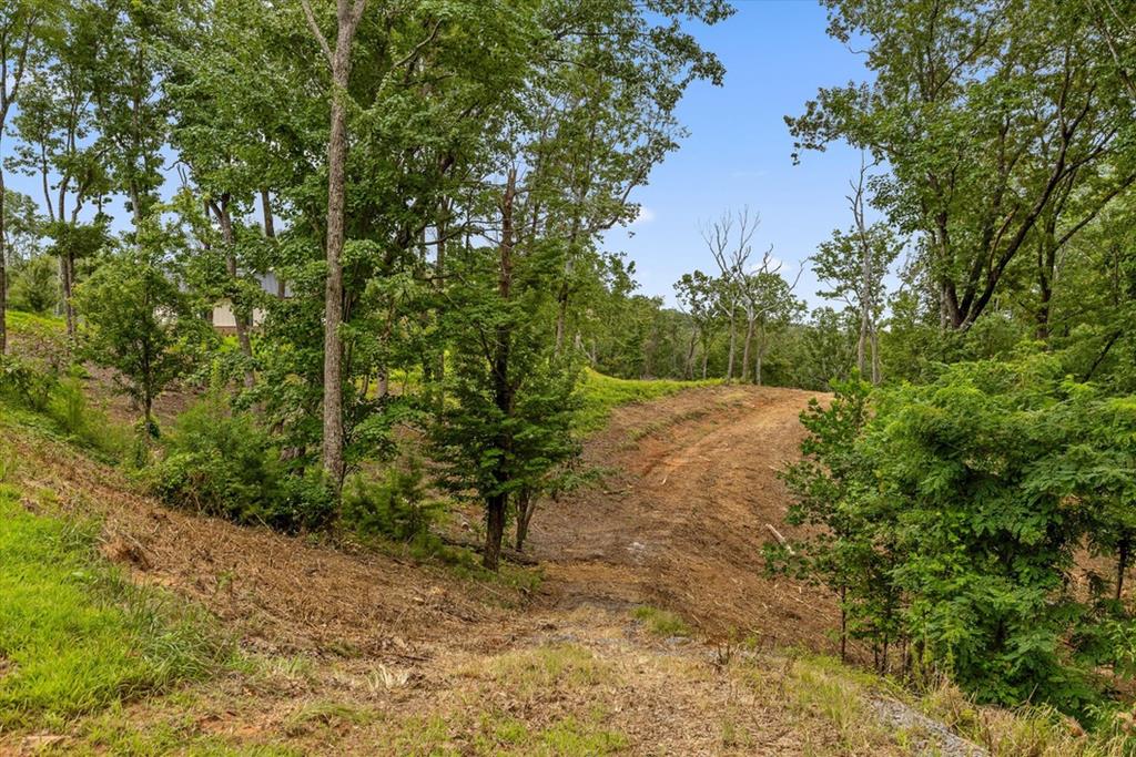 Lot 9 High Summit Drive Property Photo 1