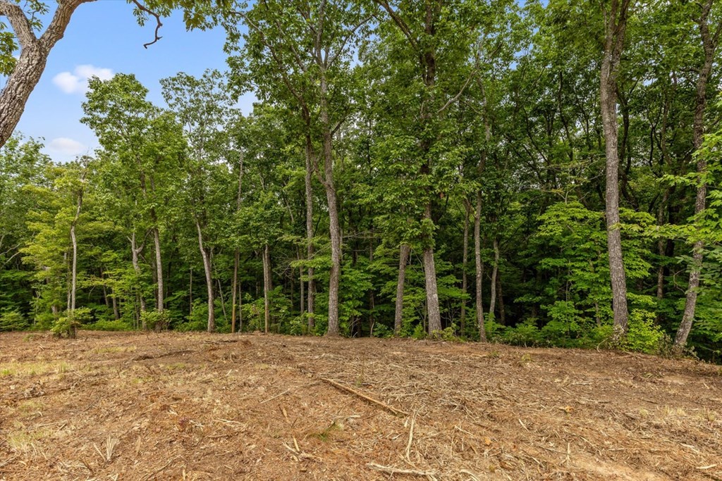 Lot 9 High Summit Drive Property Photo 3
