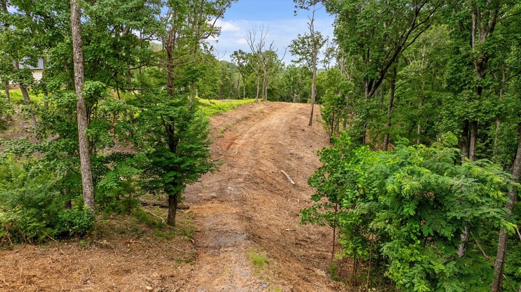 Lot 9 High Summit Drive Property Photo 4