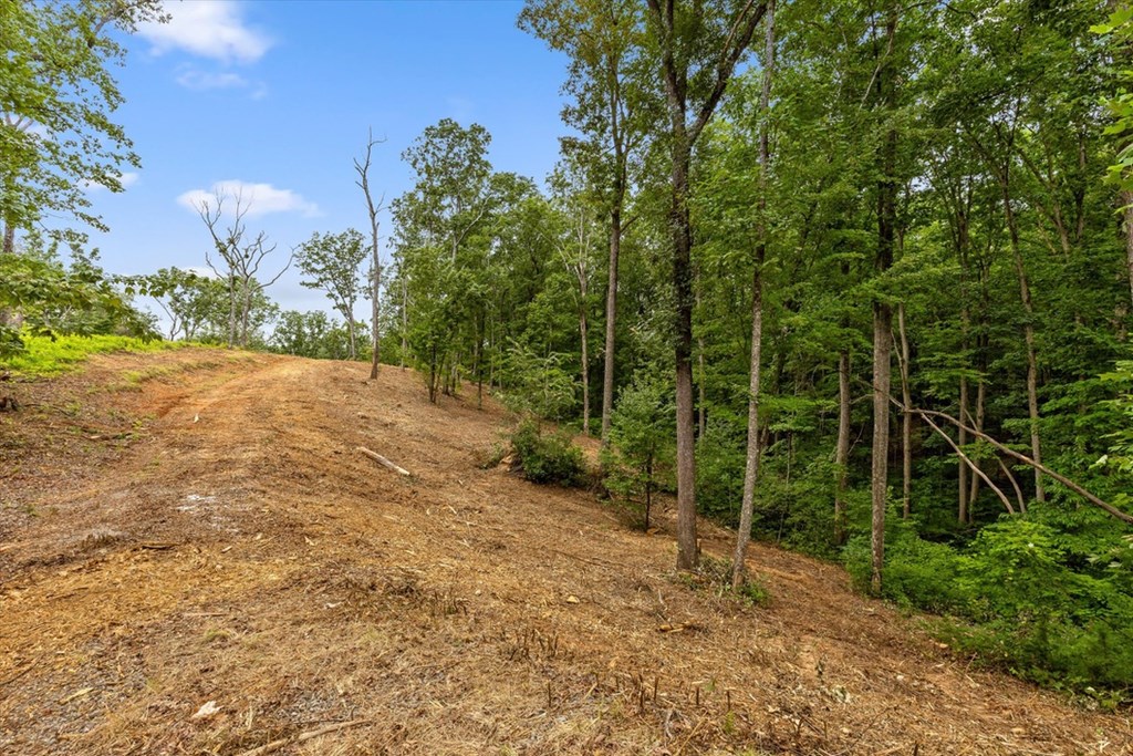 Lot 9 High Summit Drive Property Photo 5