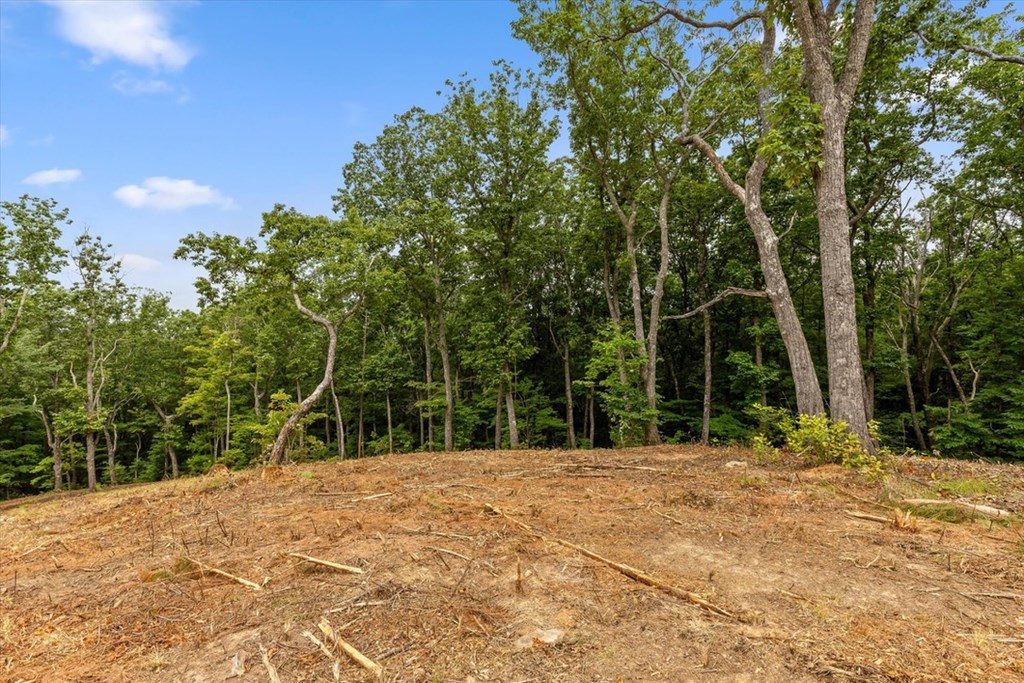 Lot 9 High Summit Drive Property Photo 6