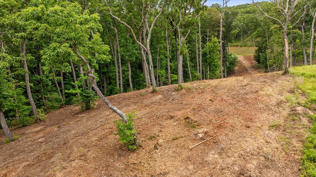 Lot 9 High Summit Drive Property Photo 7