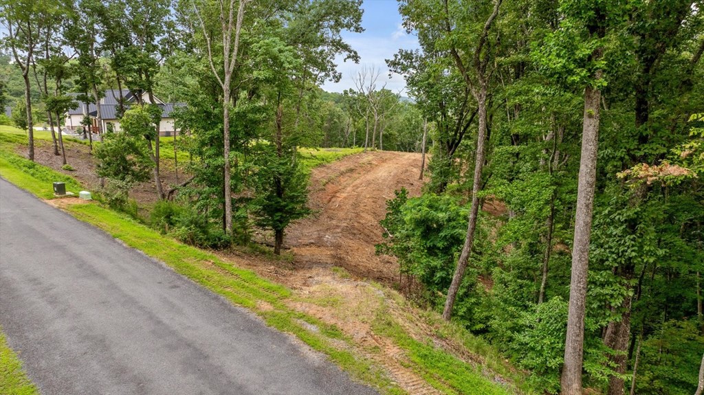Lot 9 High Summit Drive Property Photo 10