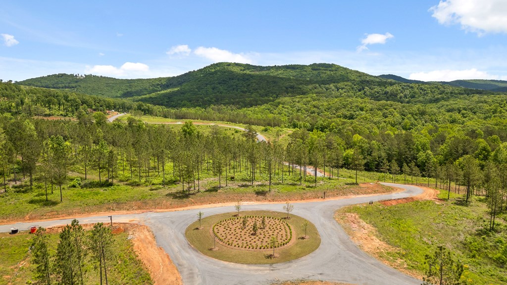 Lot 9 High Summit Drive Property Photo 29