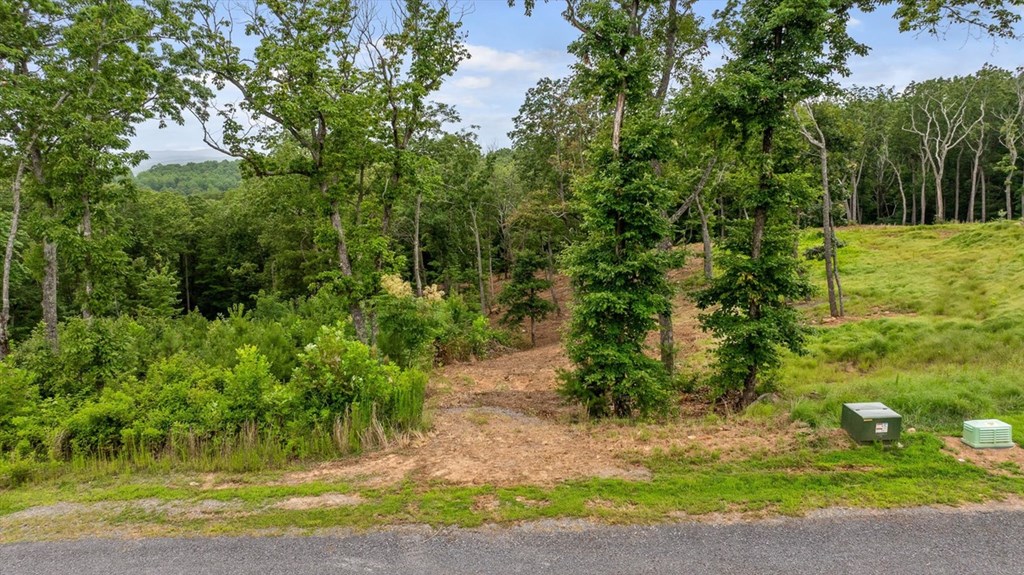 Lot 92 Timberline Trail Property Photo 2