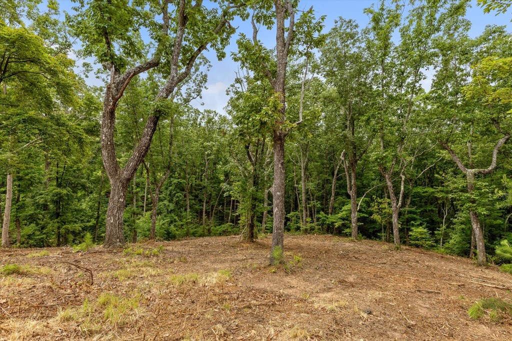 Lot 92 Timberline Trail Property Photo 6
