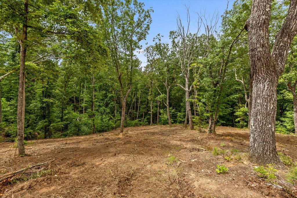 Lot 92 Timberline Trail Property Photo 7