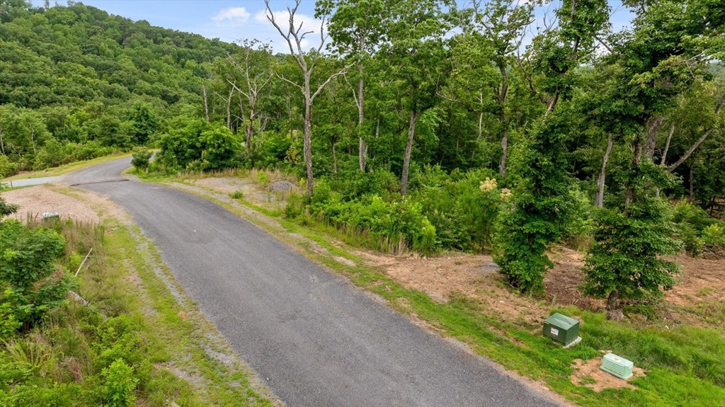 Lot 92 Timberline Trail Property Photo 8