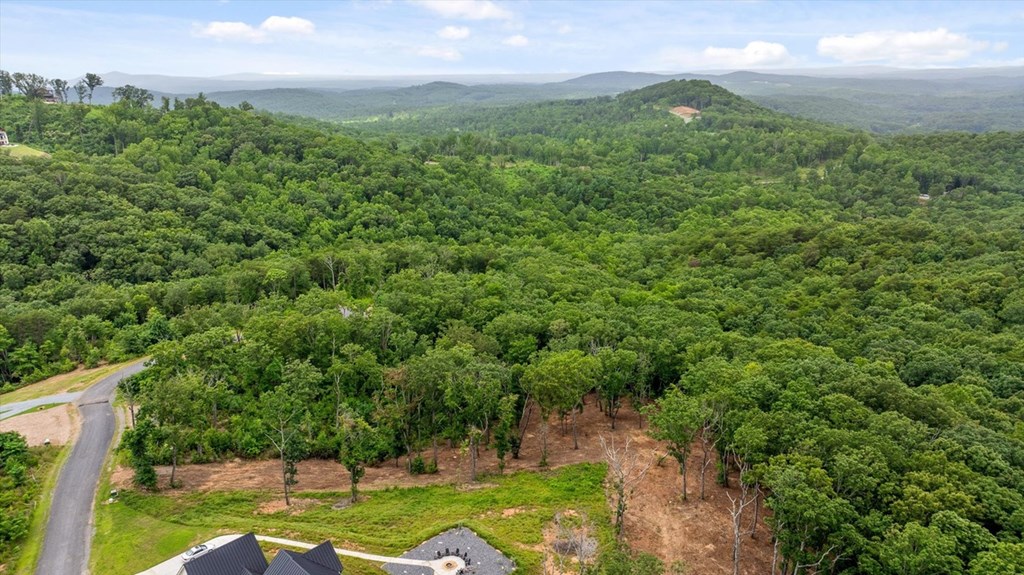 Lot 92 Timberline Trail Property Photo 11