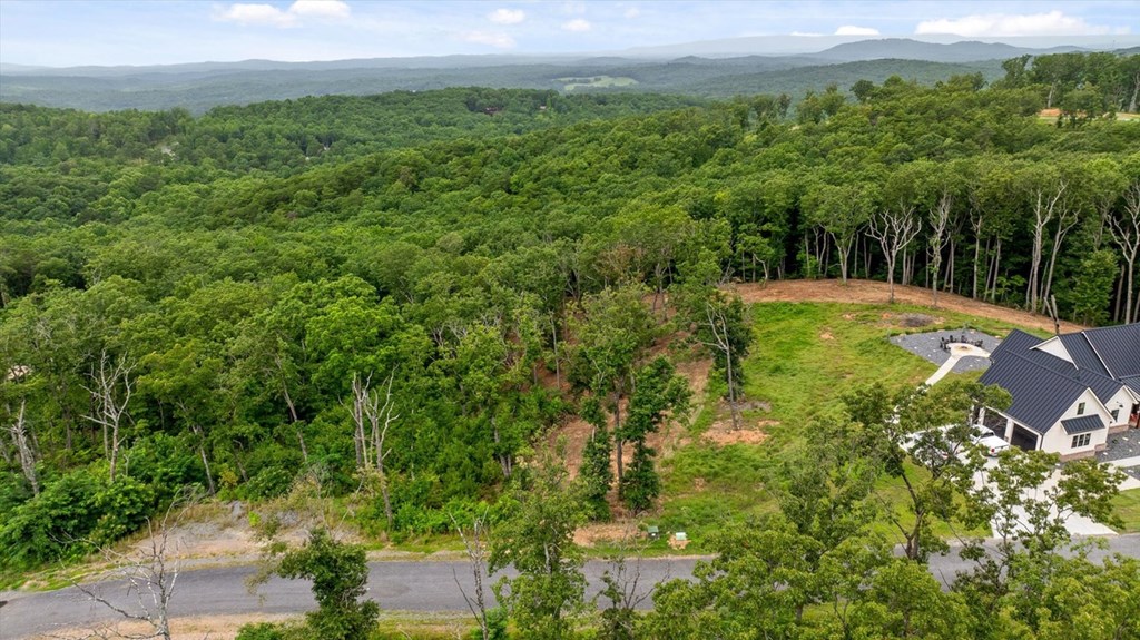 Lot 92 Timberline Trail Property Photo 16