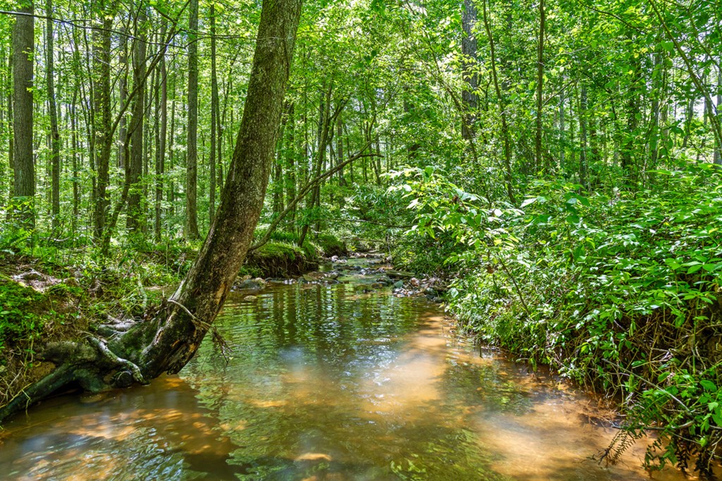 Lot 92 Timberline Trail Property Photo 26