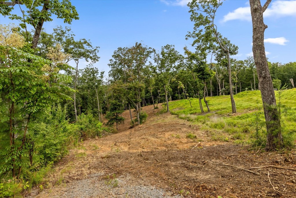 Lot 9+92 High Summit Drive Property Photo 5