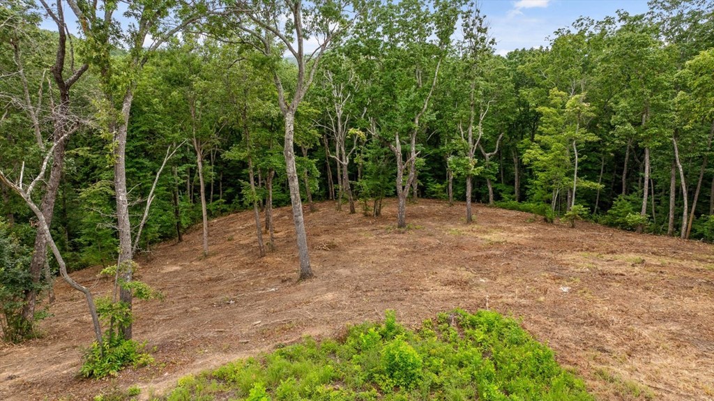 Lot 9+92 High Summit Drive Property Photo 6