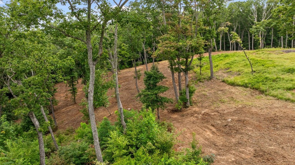 Lot 9+92 High Summit Drive Property Photo 7