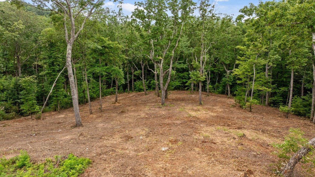 Lot 9+92 High Summit Drive Property Photo 8