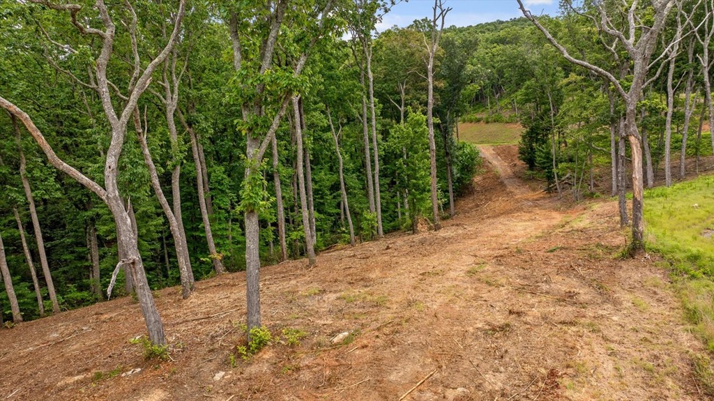 Lot 9+92 High Summit Drive Property Photo 10