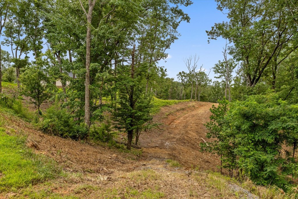 Lot 9+92 High Summit Drive Property Photo 12