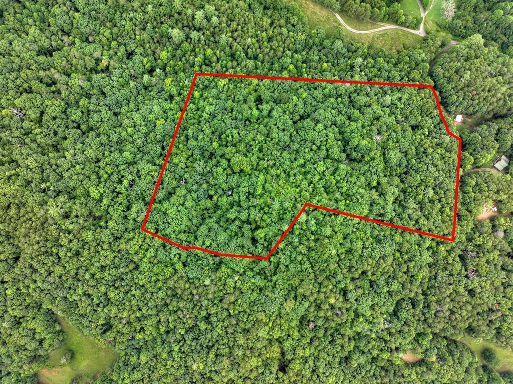 0 Blalock Road Property Photo 2
