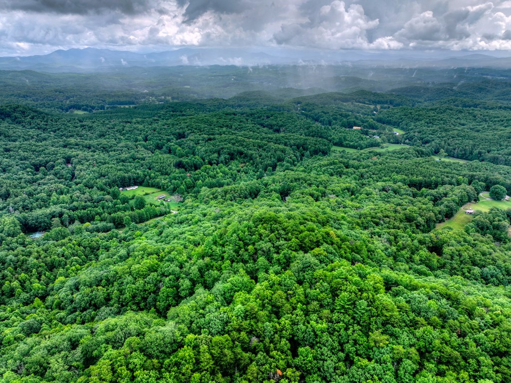 0 Blalock Road Property Photo 7
