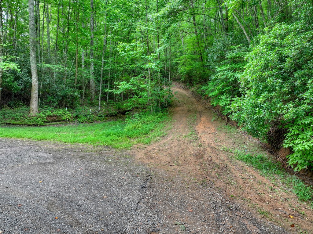 0 Blalock Road Property Photo 18