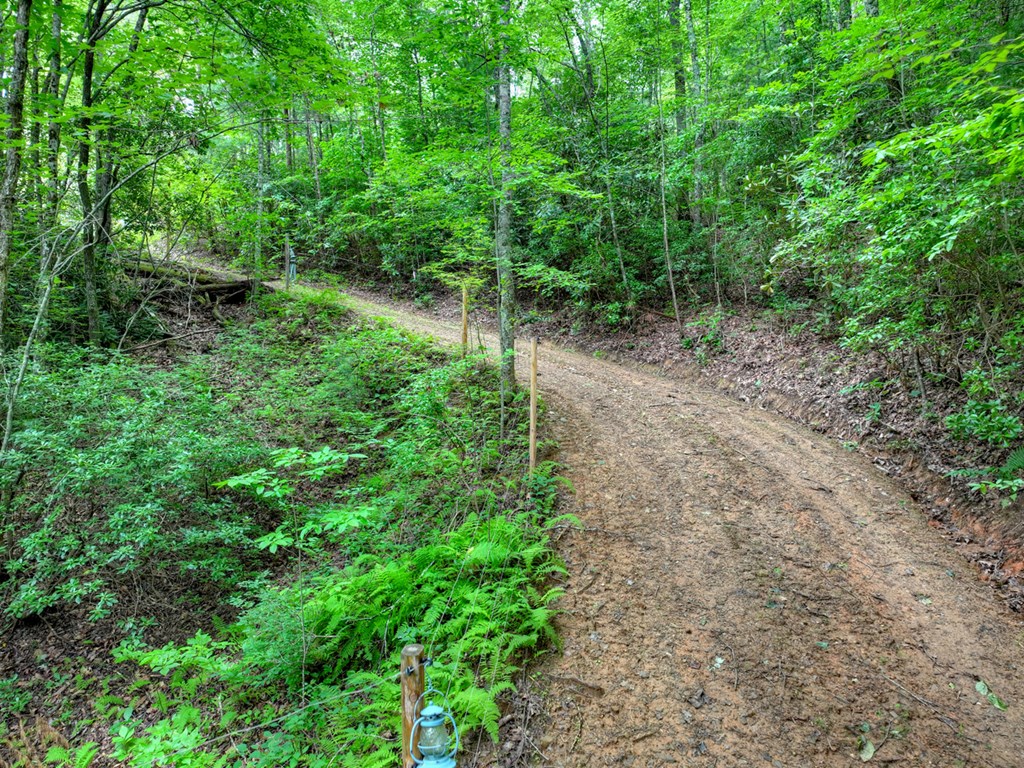 0 Blalock Road Property Photo 19
