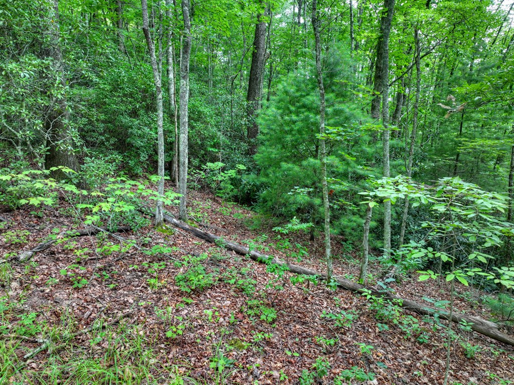 0 Blalock Road Property Photo 20