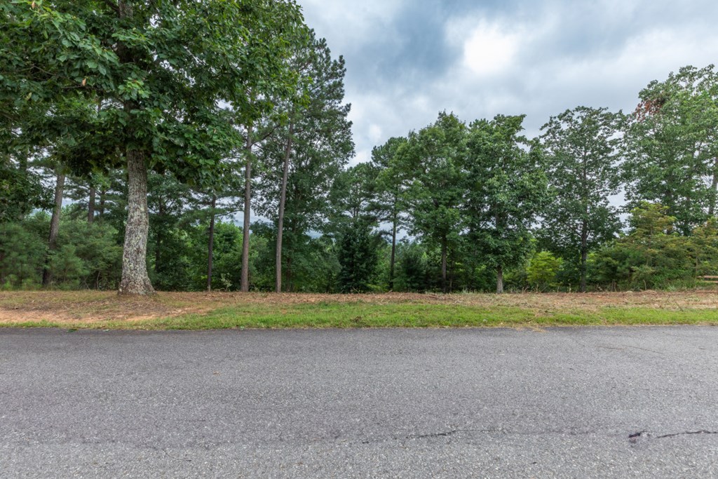 Lot 13 Thirteen Hundred Property Photo 2