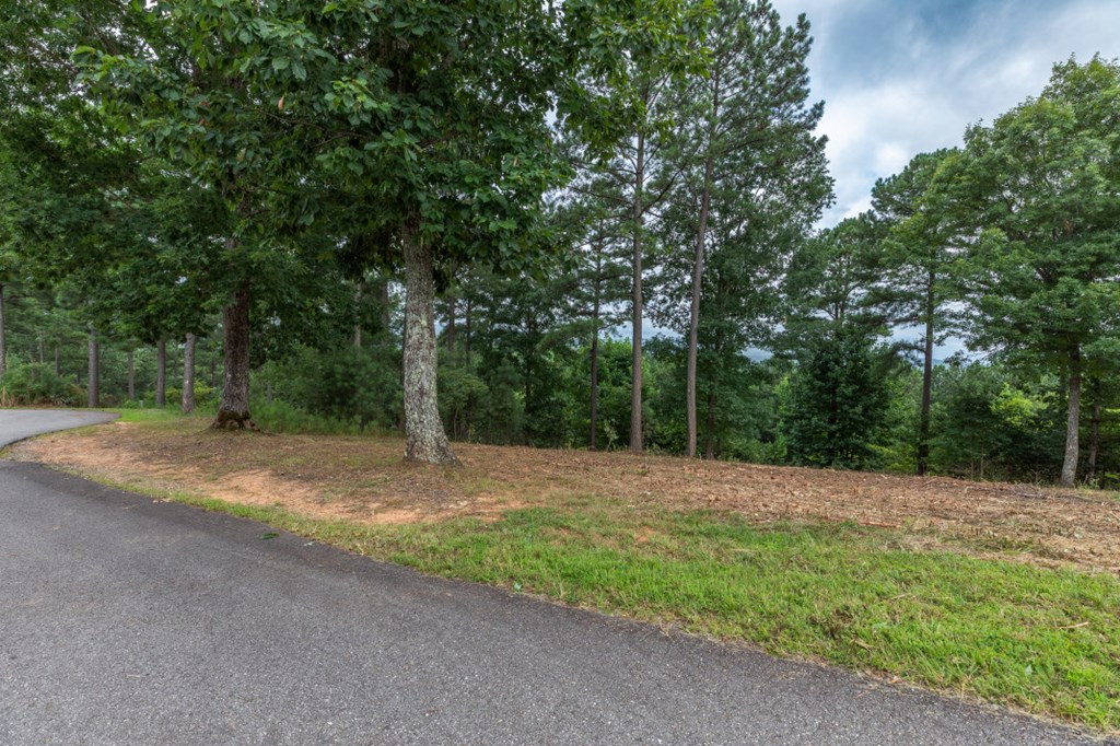 Lot 13 Thirteen Hundred Property Photo 3