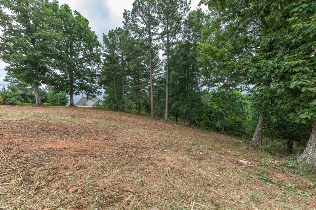 Lot 13 Thirteen Hundred Property Photo 4