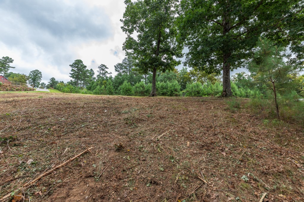 Lot 13 Thirteen Hundred Property Photo 5
