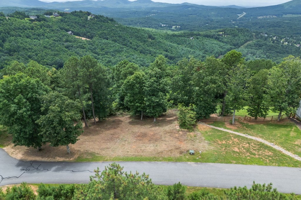 Lot 13 Thirteen Hundred Property Photo 7