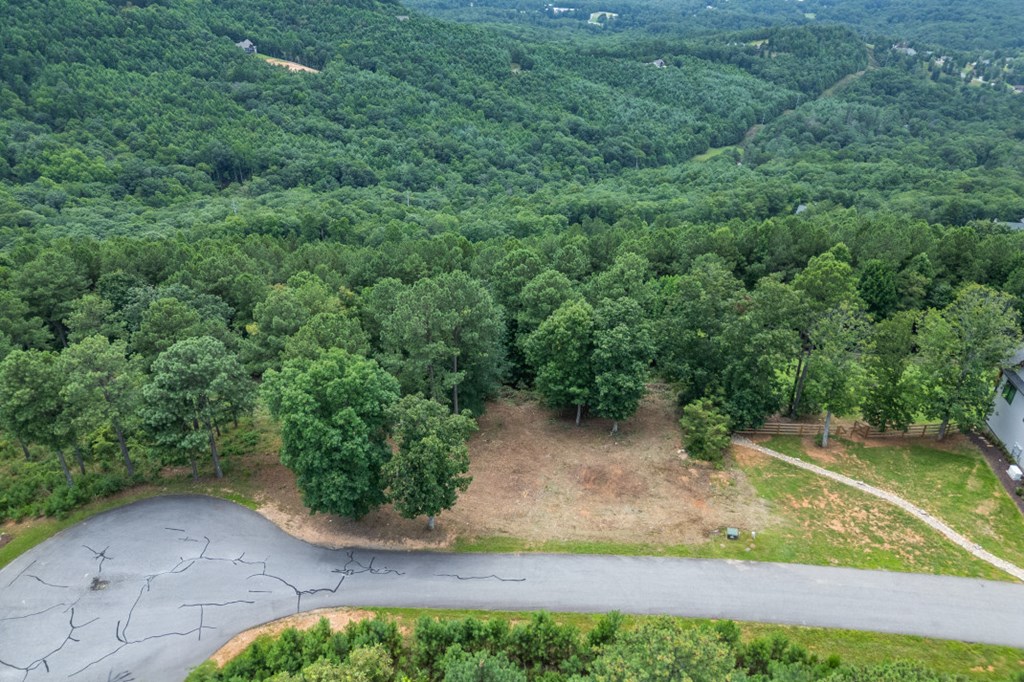 Lot 13 Thirteen Hundred Property Photo 8