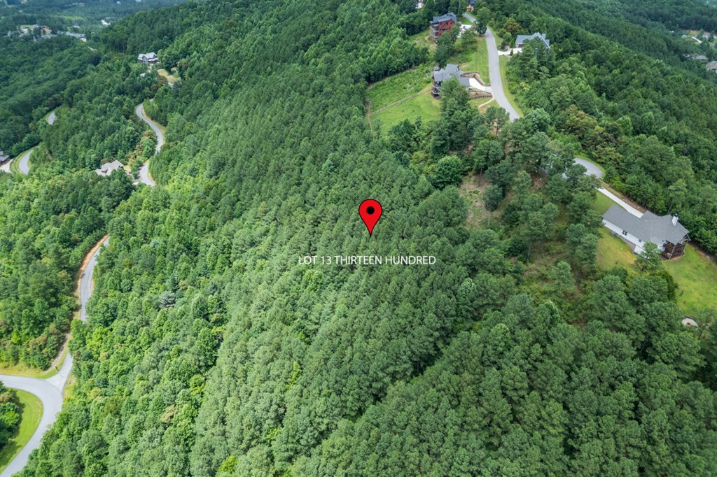 Lot 13 Thirteen Hundred Property Photo 9